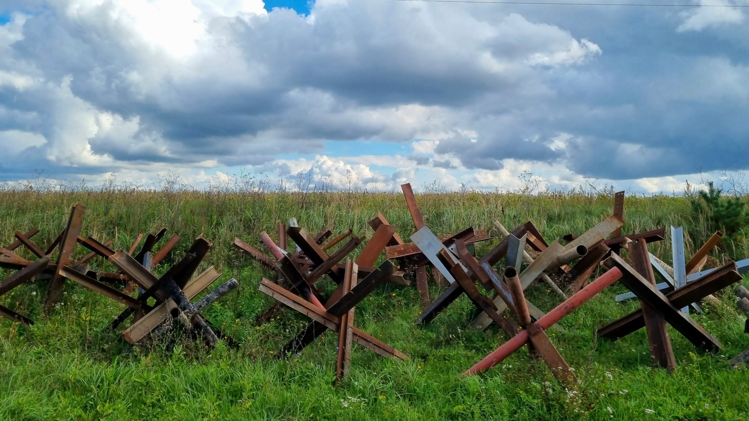Ukraina pole walki