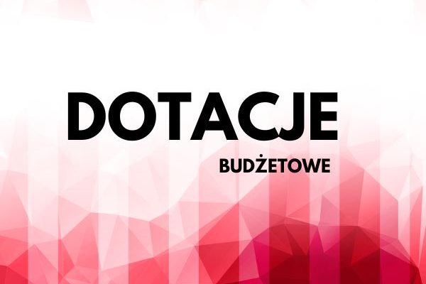 Dotacje Budżetowe logo
