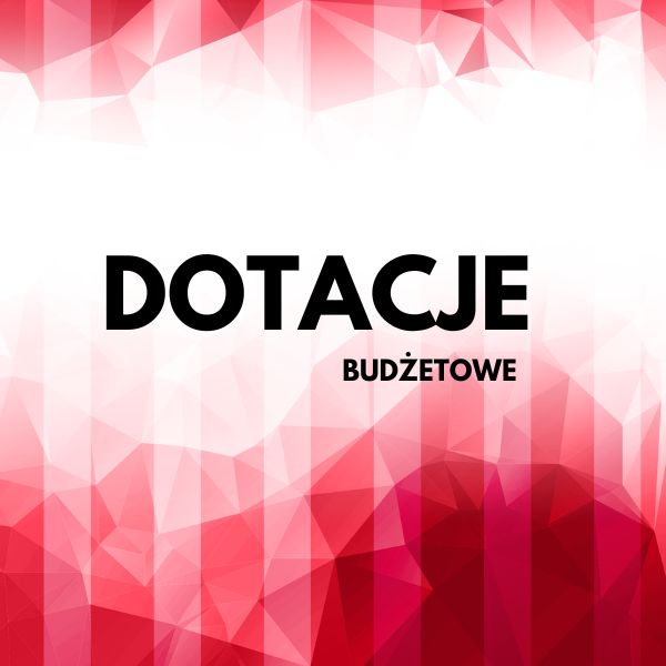 Dotacje Budżetowe logo