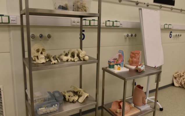 Uroczyste otwarcie Pracowni Anatomii w Wojskowym Instytucie Medycznym. Regał z dokładnymi modelami kości ludzkich w nowej pracowni anatomii.