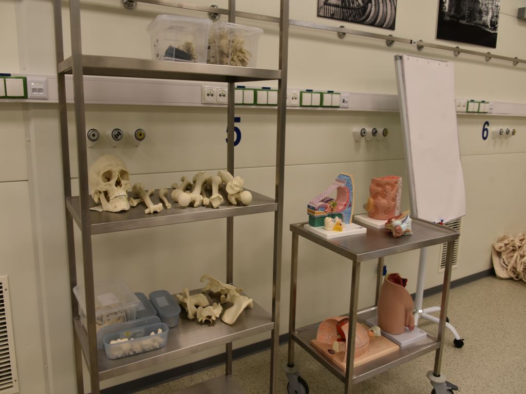 Uroczyste otwarcie Pracowni Anatomii w Wojskowym Instytucie Medycznym. Regał z dokładnymi modelami kości ludzkich w nowej pracowni anatomii.