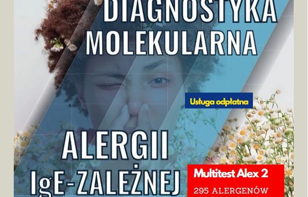 infografika Testu diagnostycznego Alex2