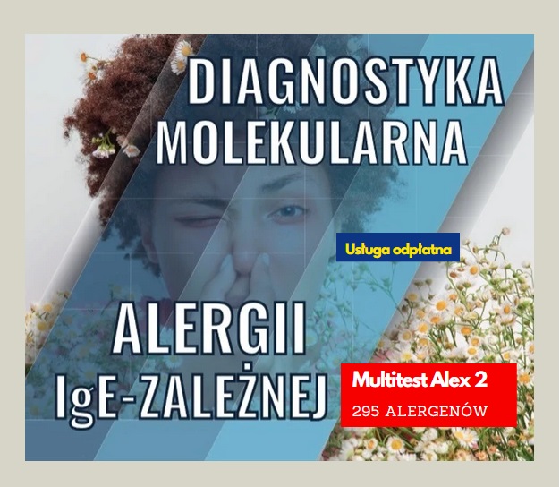 infografika Testu diagnostycznego Alex2