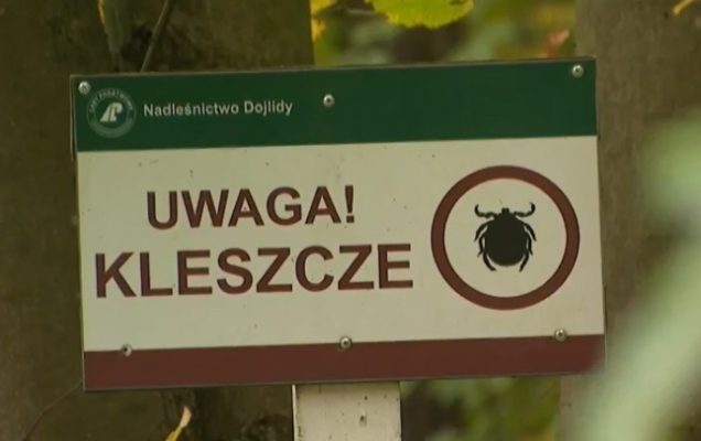 Tabliczka informacyjna w lesie z napisem uwaga kleszcze