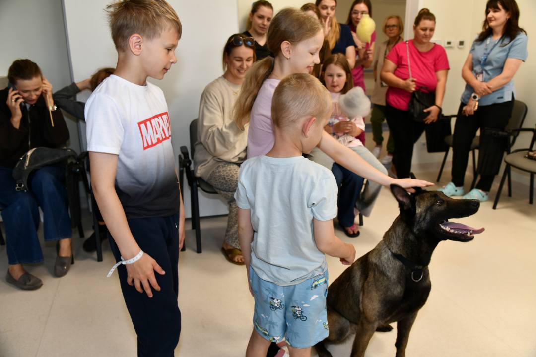Dzieci głaszczące psa obok psa.