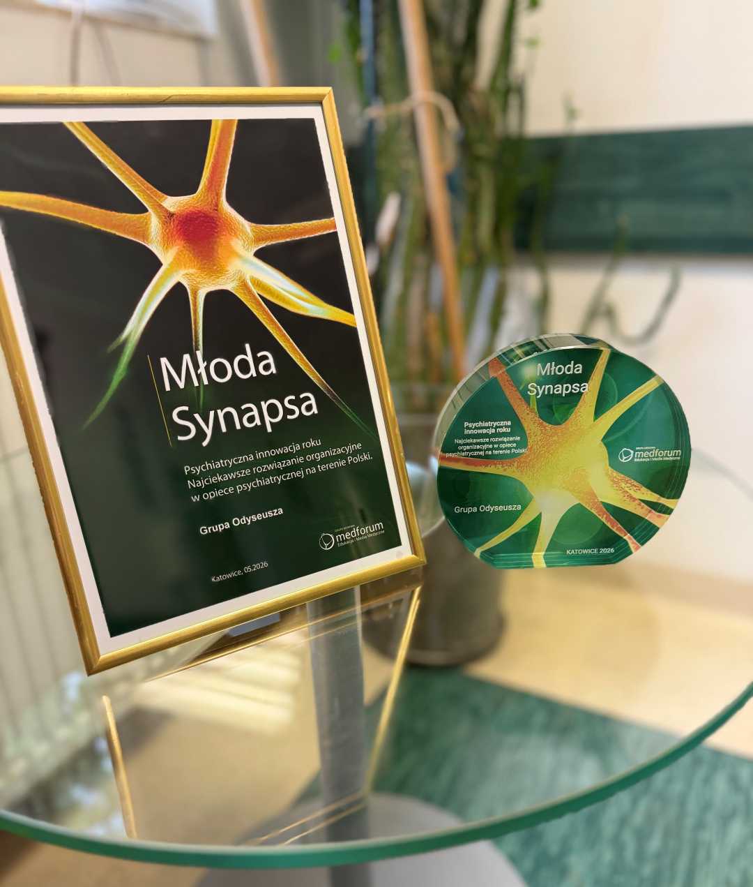 Dyplom i statuetka nagrody Synapsa.